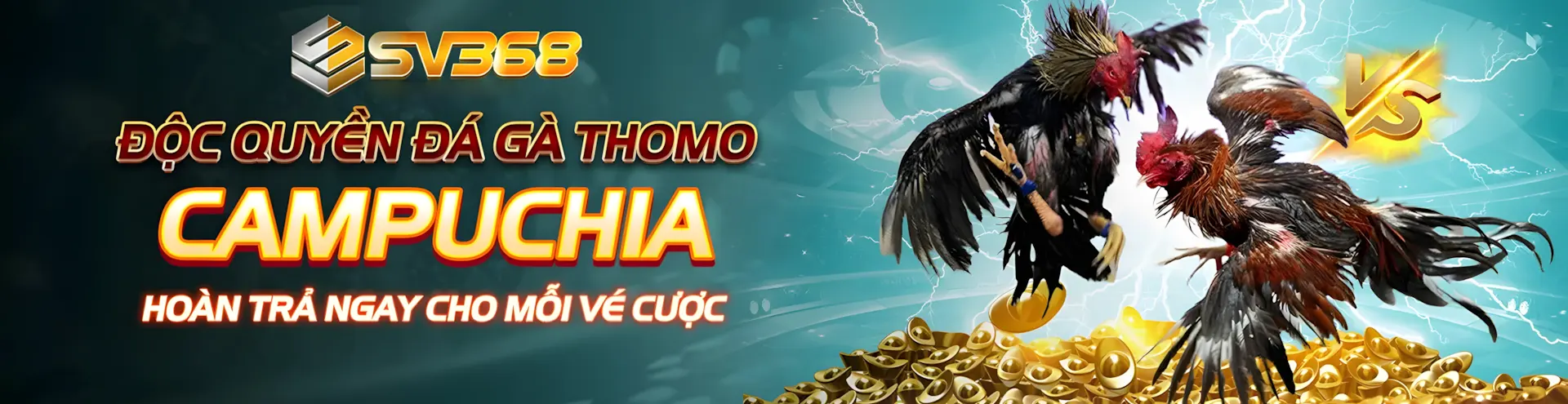 sv368 baner 1